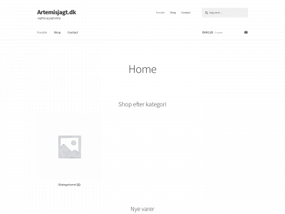 artemisjagt.dk snapshot