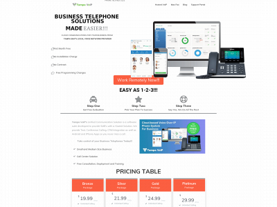 tampavoip.com snapshot