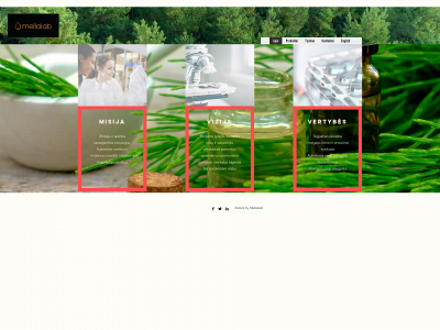 mellalab.com snapshot