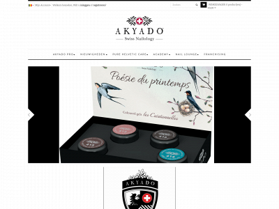 akyado.nl snapshot