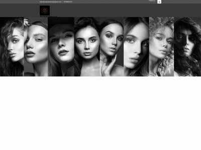 blakstienulaminavimas.lt snapshot
