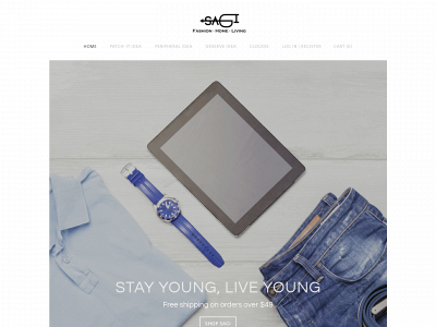 www.sagi.us snapshot