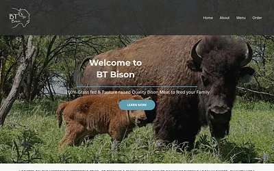 btbison.com snapshot