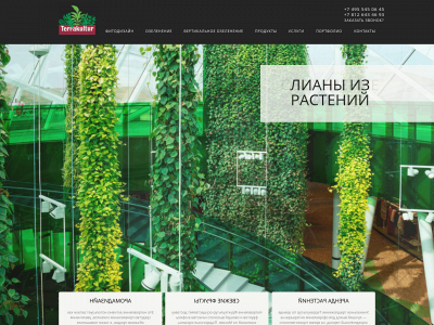 www.terrakultur.ru snapshot