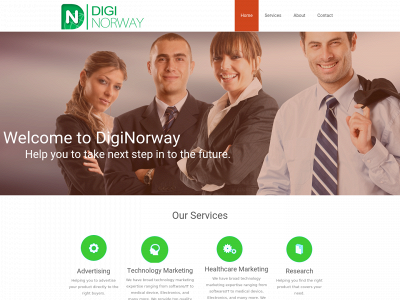 diginorway.com snapshot