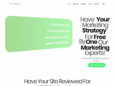 motionzmarketing.com snapshot