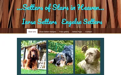 setters-of-stars-in-heaven-ierse-en-engelse-setters.be snapshot