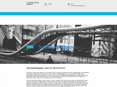 spesialpedagogen.com snapshot