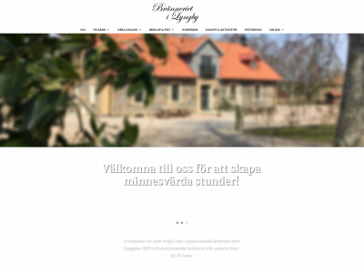 branneriet-lyngby.se snapshot