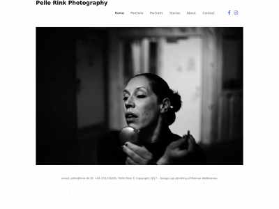 pellerink.com snapshot