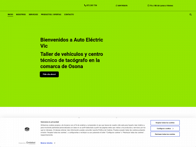 autoelectricvic.com snapshot