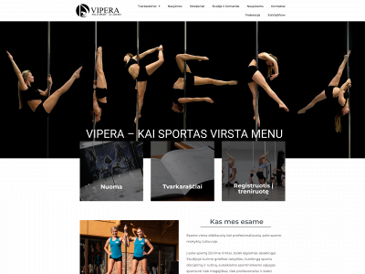 vipera.lt snapshot