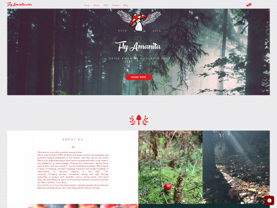 flyamanita.com snapshot