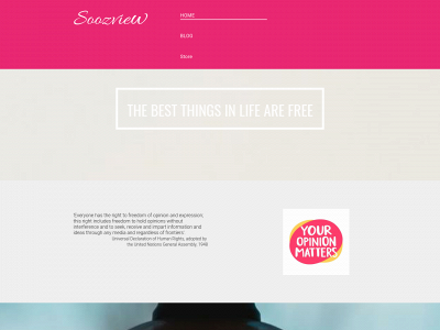 soozview.com snapshot