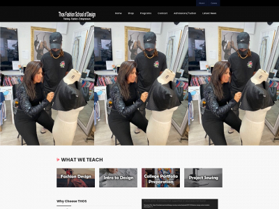 thosfashionschoolofdesign.com snapshot