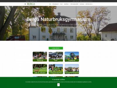bergagymnasium.se snapshot