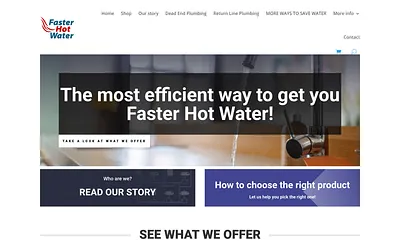 fasterhotwater.com snapshot