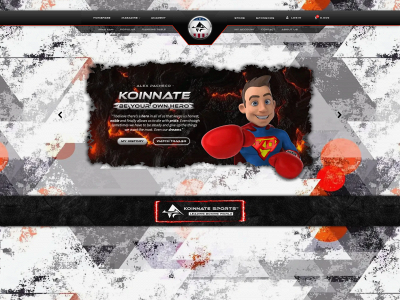 koinnate.com snapshot
