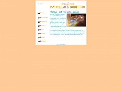 precieshier.nl snapshot
