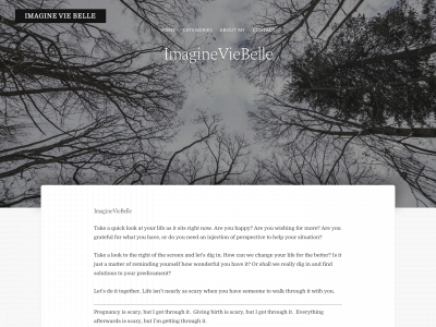 imagineviebelle.com snapshot