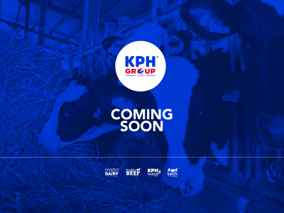 kphgroup.com.mt snapshot