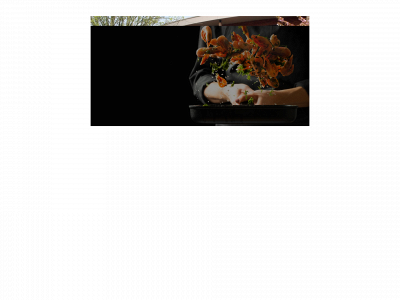 stichtingnieuwbeginsneek.nl snapshot