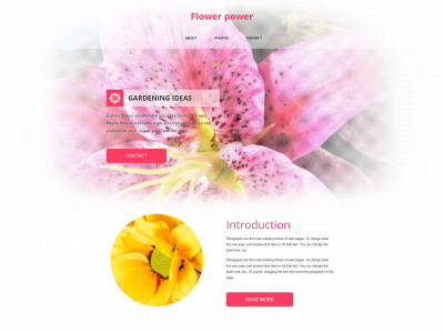 sunnyflowers.site snapshot