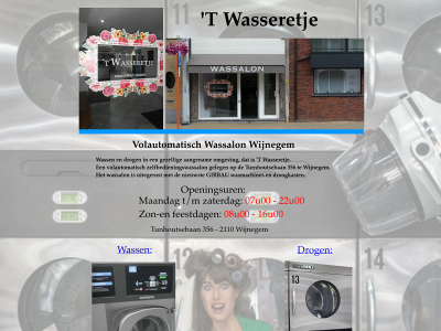wassalon-wijnegem.be snapshot