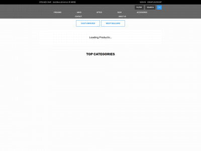 apachegunsales.com snapshot