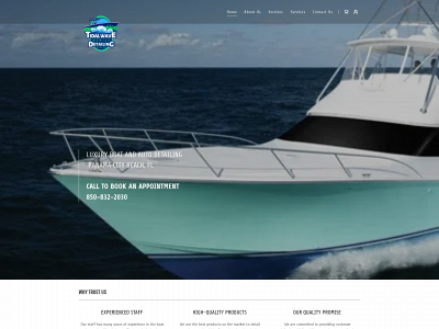 tidalwavedetailing.com snapshot