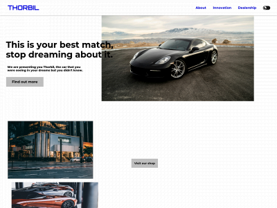 luciaportfolio.com snapshot