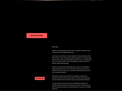 pt-adam.co.uk snapshot