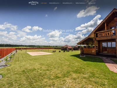 meskospirtis.lt snapshot