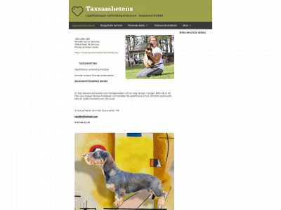taxullis.se snapshot