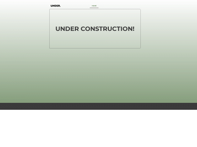 undertheproject.com snapshot