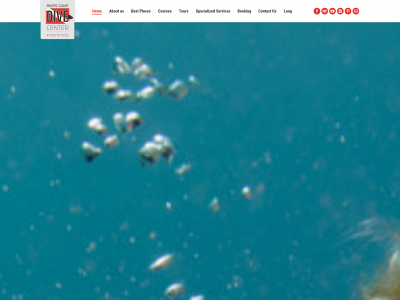 pacificcoastdivecenter.com snapshot