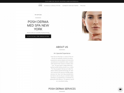 poshdermamedny.com snapshot