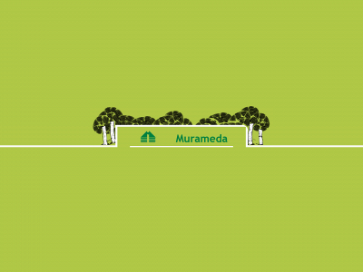 murameda.lt snapshot