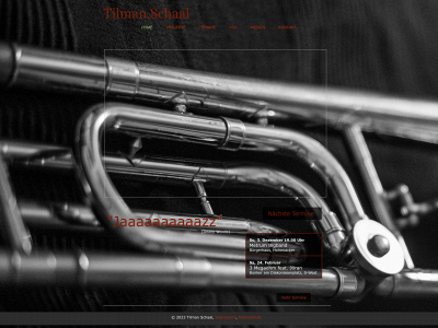 tilman-schaal.de snapshot