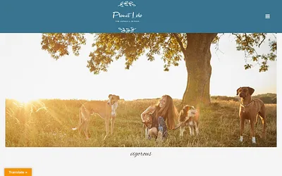 planetlolo.be snapshot