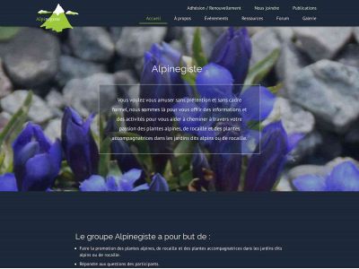 alpinegiste.com snapshot