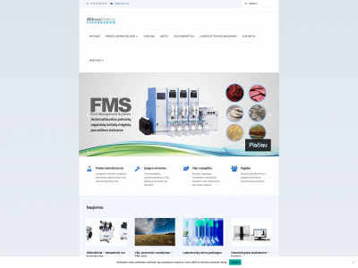 mikros.lt snapshot