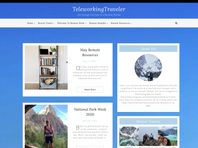 teleworkingtraveler.com snapshot