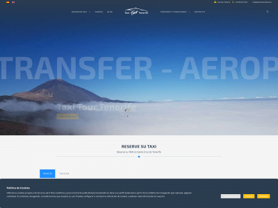taxitourtenerife.com snapshot
