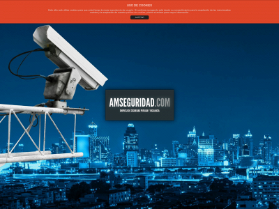 www.amseguridad.com snapshot