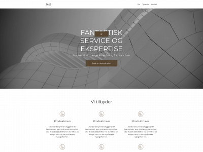 susarne.dk snapshot