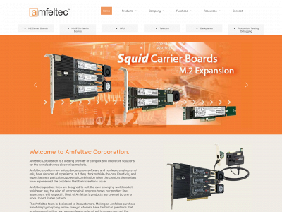 amfeltec.com snapshot