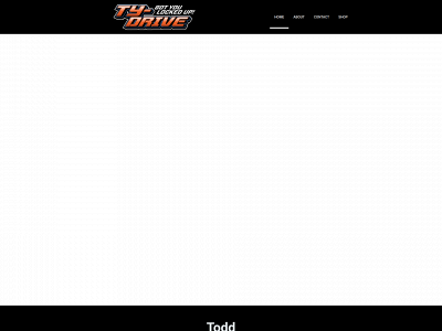ty-drive.com snapshot
