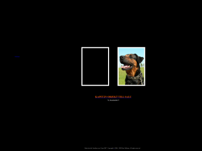 busebo.com snapshot