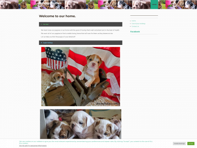boxleybullies.com snapshot